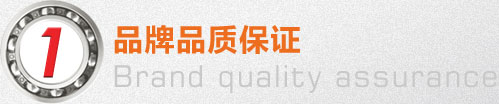 圓(yuán)錐滾子軸承(chéng),圓柱滾子軸(zhóu)承,深溝球軸(zhou)承,卡車輪毂(gū)單元
